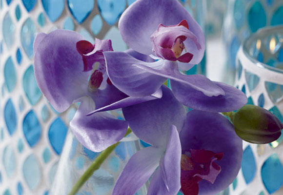 El violeta, un color muy espiritual ideas y tendencias ...