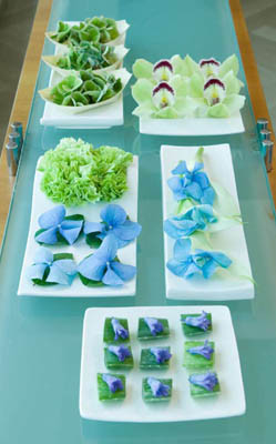 dona stain 04 Diseño Floral