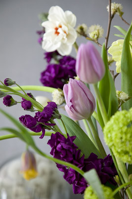flores de primavera flores de primavera