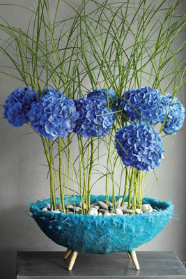 Hortensias