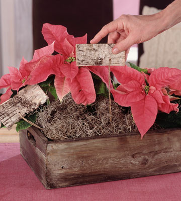 Centros de mesa de Navidad