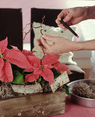 Centros de mesa de Navidad
