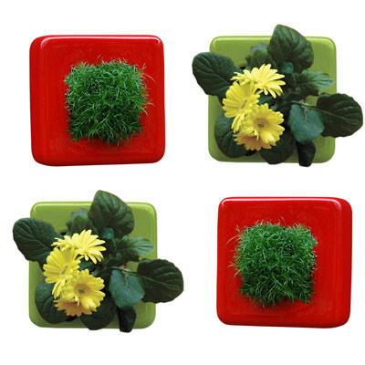 Flowerbox: La naturaleza desde otro punto de vista 9