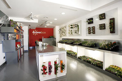 Flowerbox: La naturaleza desde otro punto de vista 8