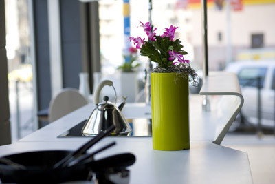 Macetas en miniatura 8 nano 03