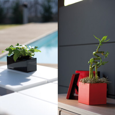 Macetas en miniatura 9 nano 06