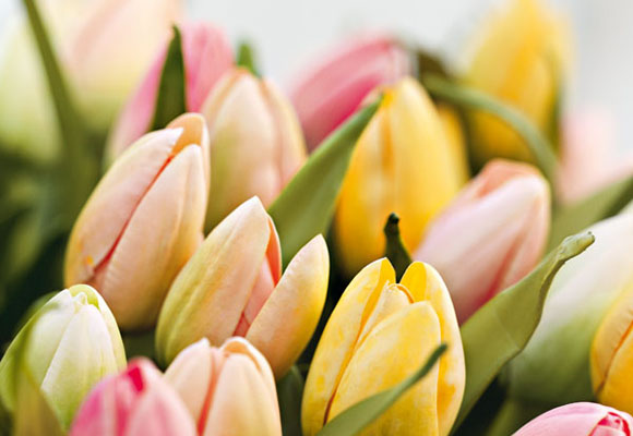 En primavera, decora con flores