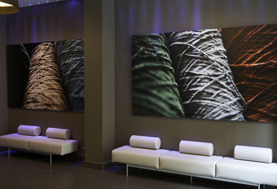 Hotel Constanza 6 Hotel Constanza