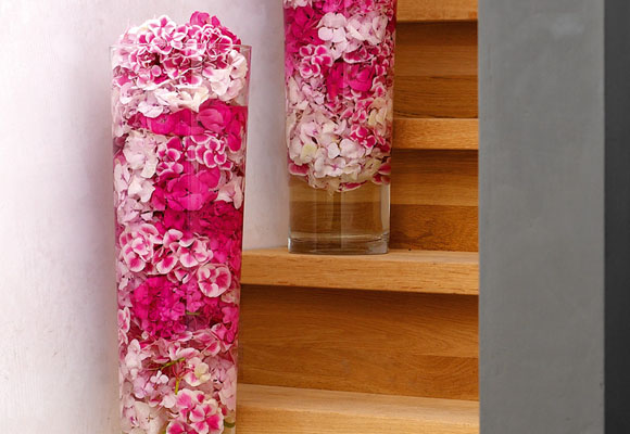 Hortensias 6 hortensias_3.jpg