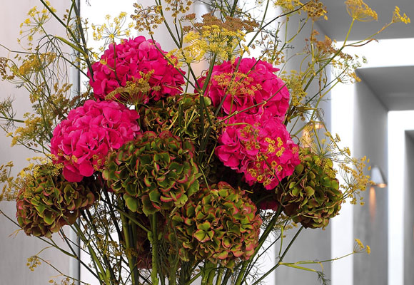 Hortensias 8 hortensias_5.jpg