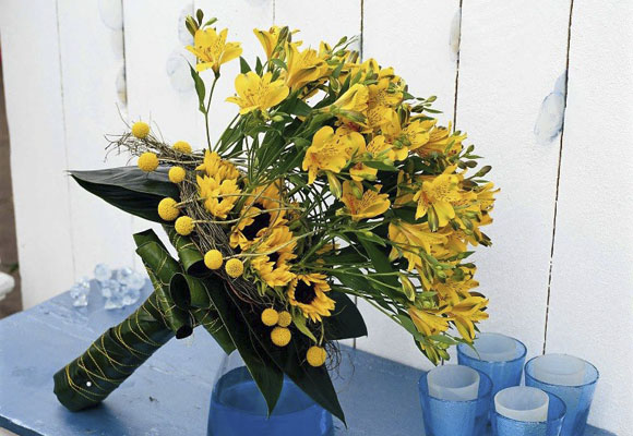 Lirio de Perú 6 Lirio de Perú