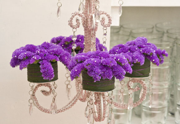 Statice 6 statice_1.jpg