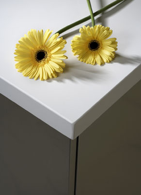 Techlam, una alternativa al material de la encimera 6 Encimera Techlam