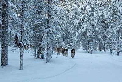 El umbral del invierno 5 Paisaje nevado
