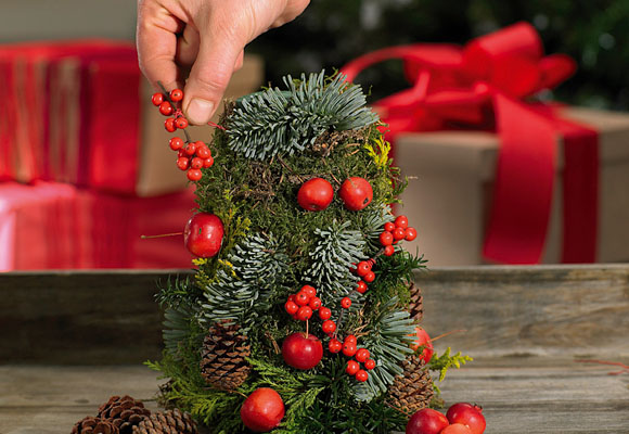 Centros de mesa de Navidad. Flor de Pascua (III) 3 Centro de mesa de Navidad