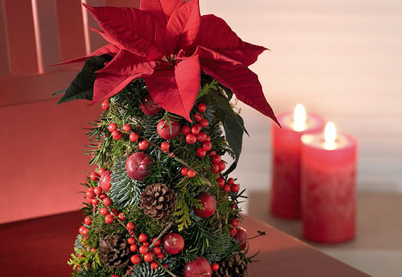 Centros de mesa de Navidad. Flor de Pascua (III) 1 Centro de mesa de Navidad