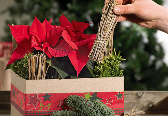 Centro de mesa de Navidad 