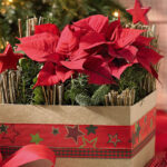 centro navidad caja 4