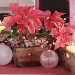 centro navidad natural 7