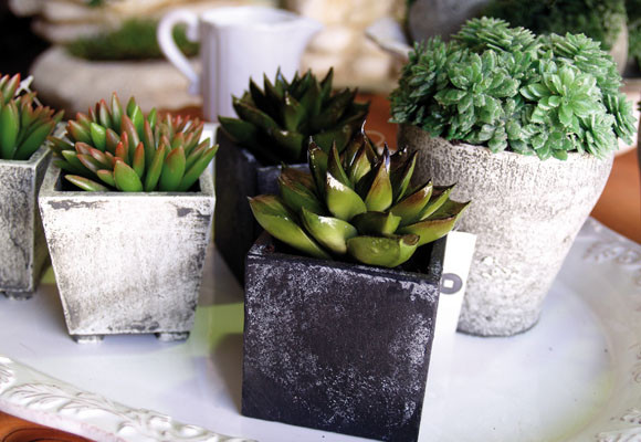 Plantas artificiales de Artcromo