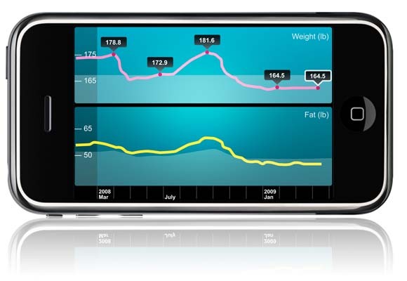 Wifi Scale, una báscula conectada a Internet