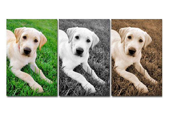 Holalienzo.es, tus fotos sobre lienzo 8 Holalienzo.com