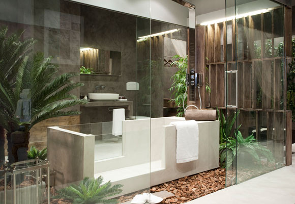 Suite de Egue y Seta