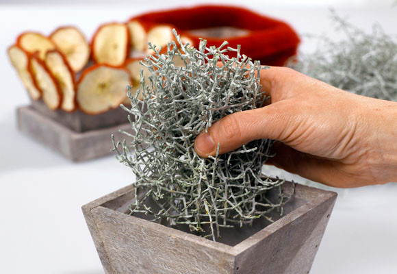 Un arreglo combinado