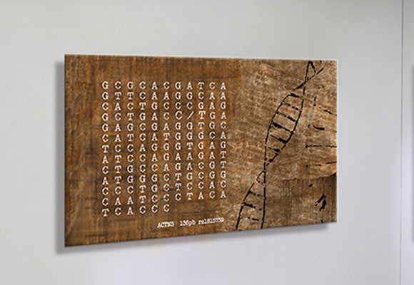 Nuestro ADN en la decoración