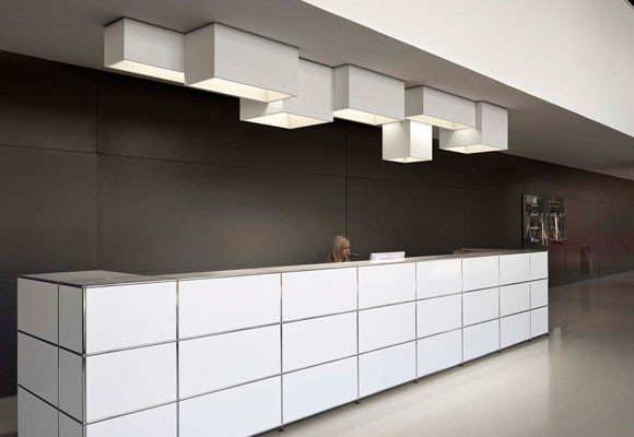 Link, arquitectura en el techo