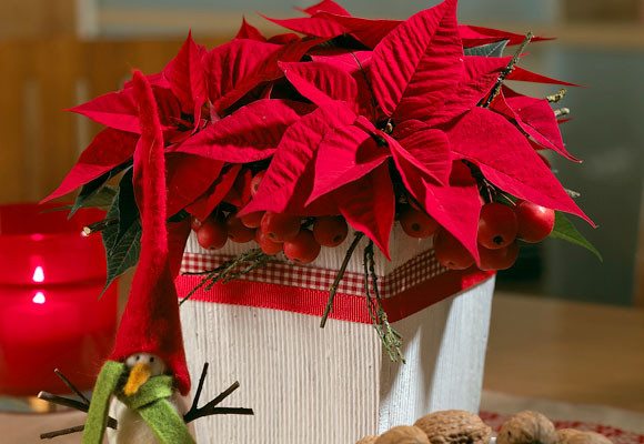 En uun recipiente de madera