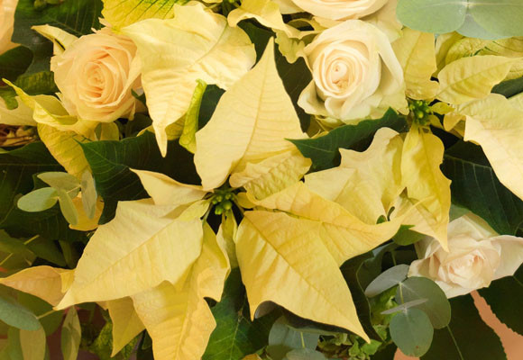 Bodas y eventos en Navidad