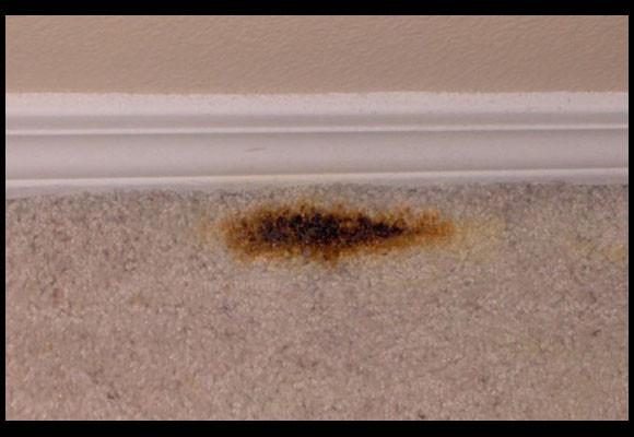 Moquetas: arreglos caseros