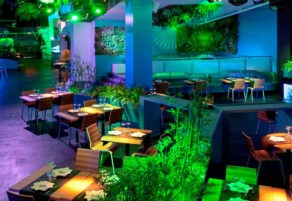 Blub Lounge Club 9 Blub Loungue Club