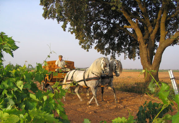 Ideas para los Reyes Magos 9 Ideas para los Reyes