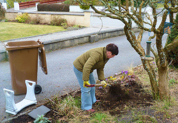 El jardín en invierno