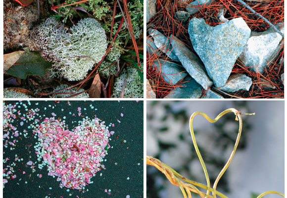 Corazones en la naturaleza