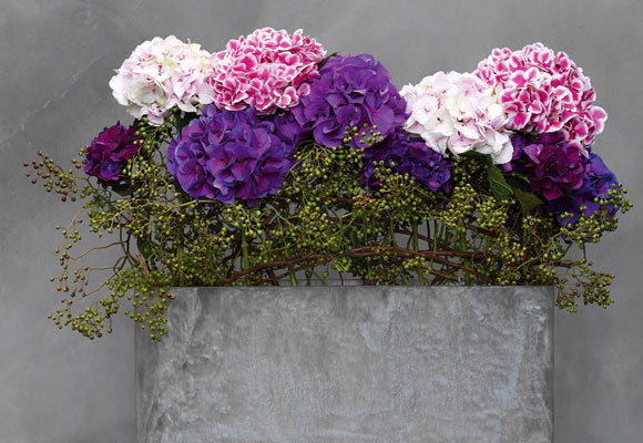 Las jardineras empiezan a florecer