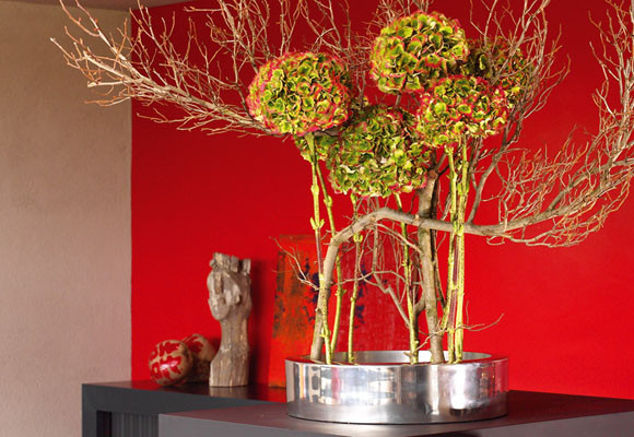 Diferentes estilos de decoración