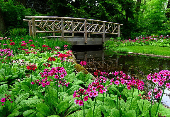 Cuidados del jardín en primavera 2 Cuidados del jardín en primavera