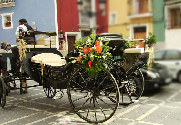 La decoración del coche de novios 10 Un coche de caballos