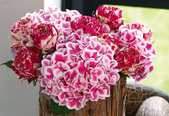 El rosa: decorar en femenino 11 El rosa: decorar en femenino