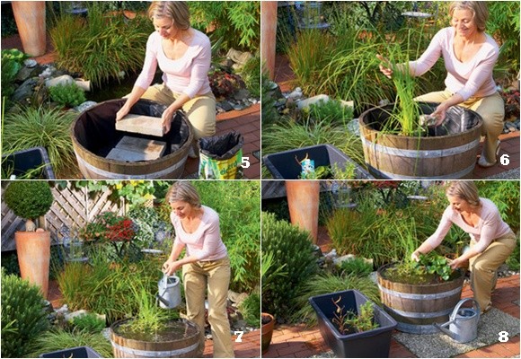 Un miniestanque al aire libre