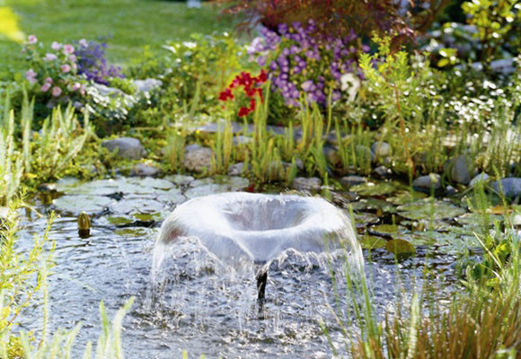 Estanque en el jardín: todas las claves