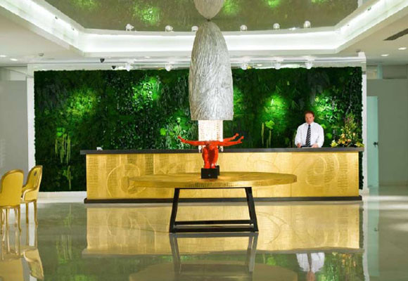 Monamur Green Design