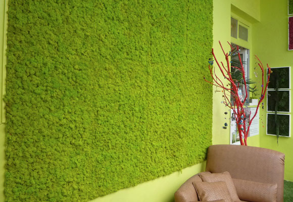 Monamur Green Design