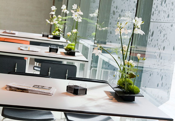 Restaurante Bokado San Telmo