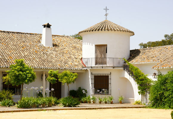 Bartró de Orfans, del olivo a la mesa 6 Bartró de Orfans
