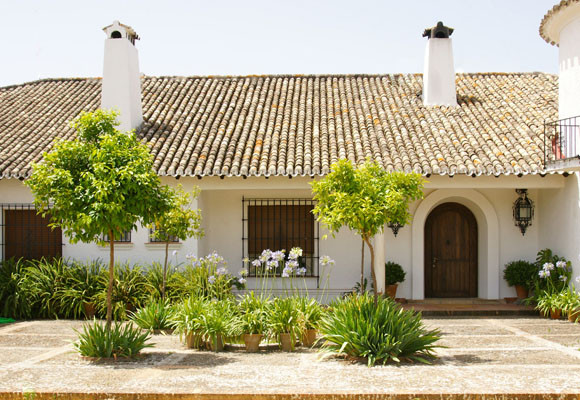 Bartró de Orfans, del olivo a la mesa 7 Bartró de Orfans