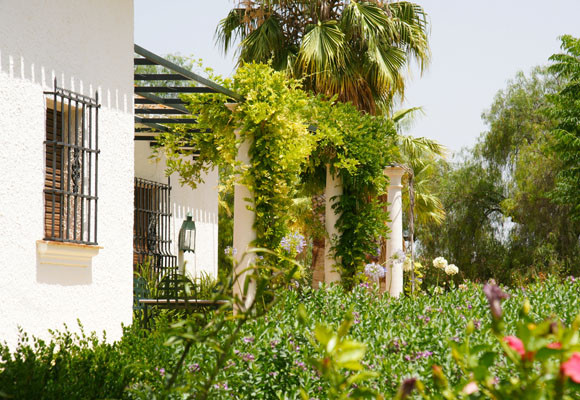 Bartró de Orfans, del olivo a la mesa 11 Bartró de Orfans